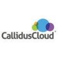 CallidusCloud Commissions